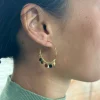 AROS Moneditas