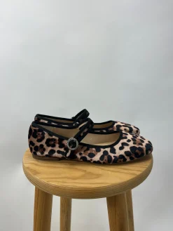 Bailarina Leorpard