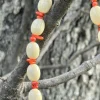 Collar resina C1