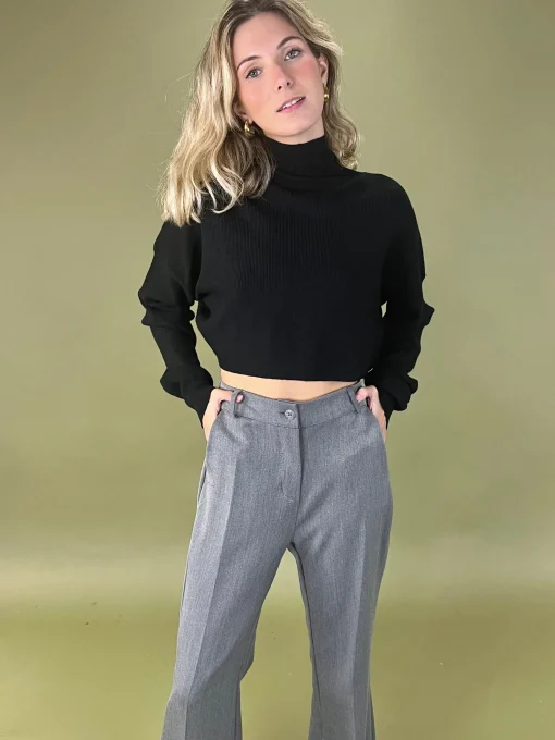 Jersey Crop