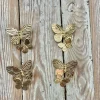 Pendientes Mariposas