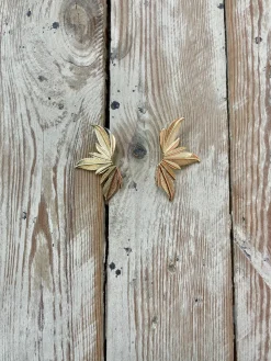 Pendientes wë